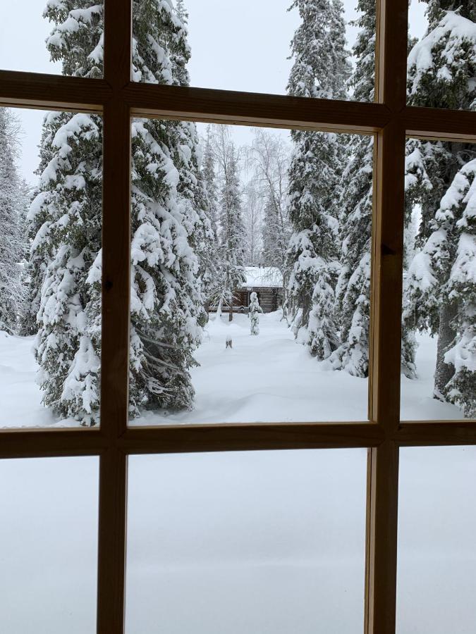Logwood Chalet لووُستو المظهر الخارجي الصورة