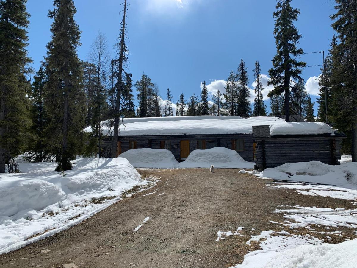 Logwood Chalet لووُستو المظهر الخارجي الصورة